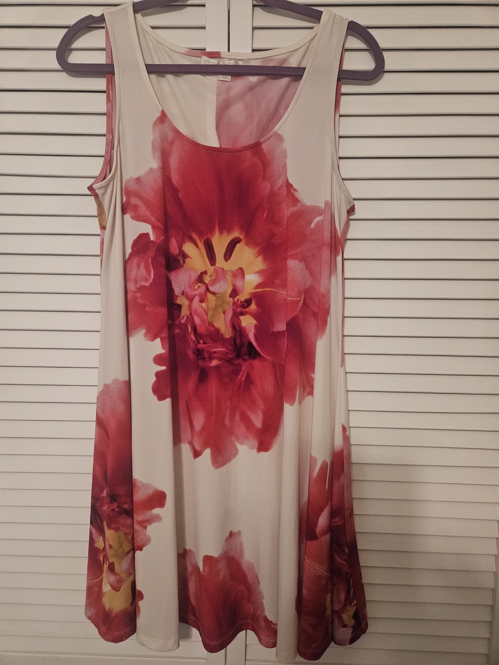 Boston Proper Cream Sleeveless Dress with Red Floral Print